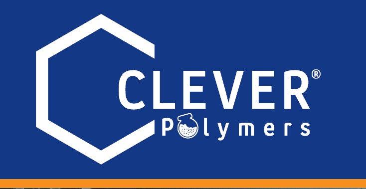 Clever Logo